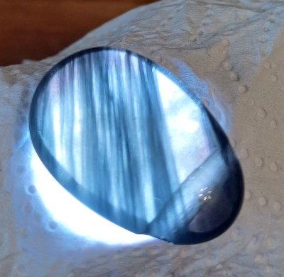 20240904_150925.jpg